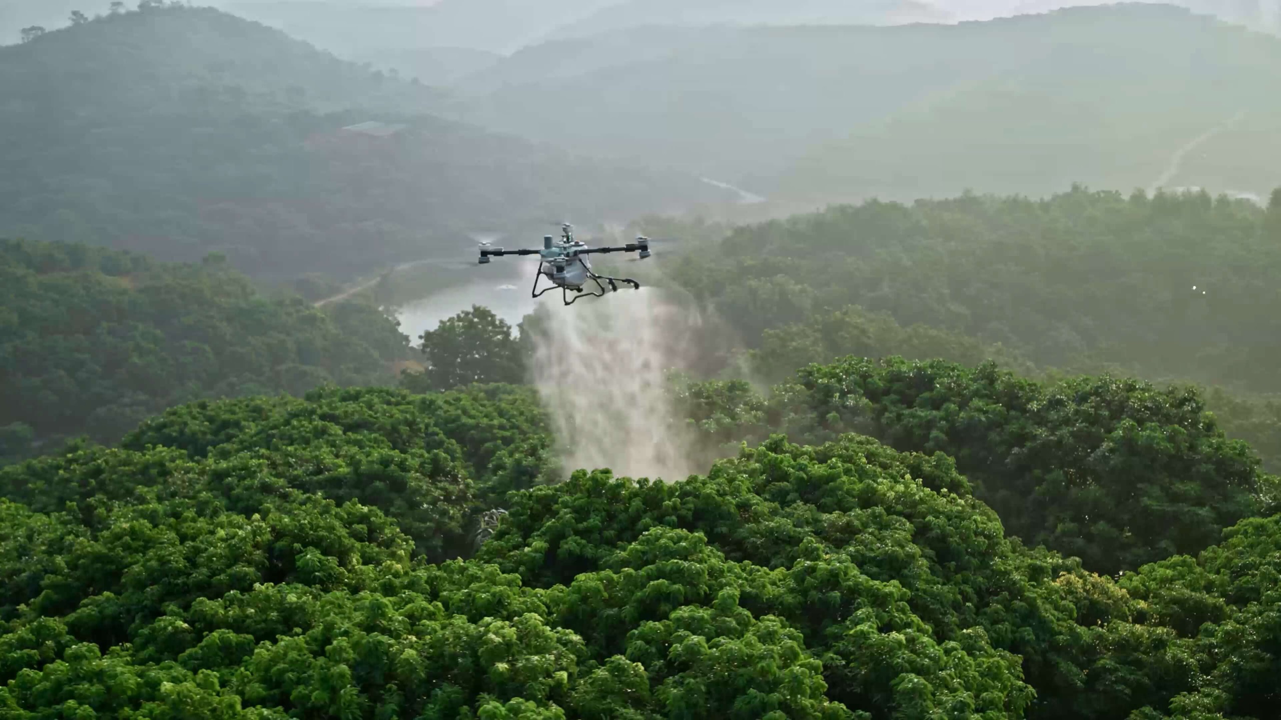 DJI Agras T100 pulverizando una plantación forestal en ladera