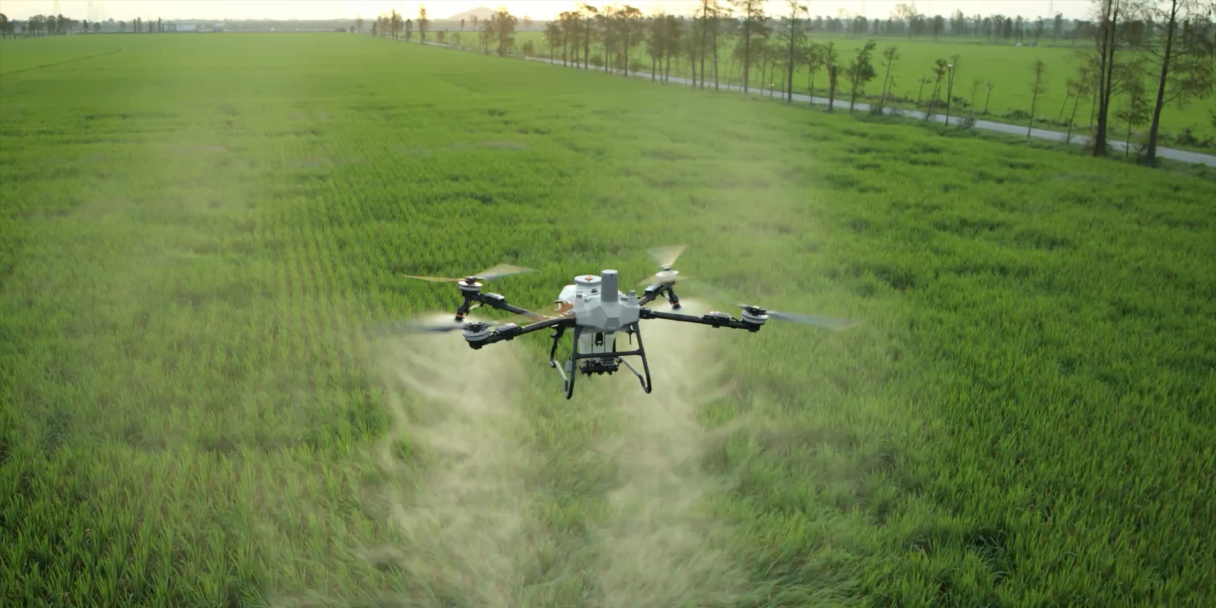 DJI Agras T55 pulverizando un cultivo verde a baja altura